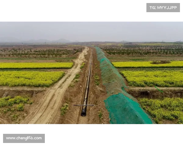 江川队长引领接应组担当关键时刻重任 助力全队攻坚突破