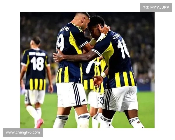 费内巴切欧冠附加赛出局引发股价暴跌18% 创年度最大跌幅